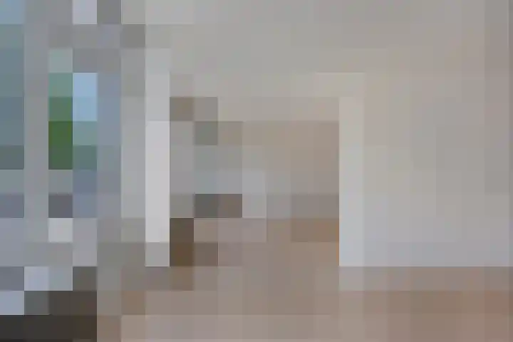 Bosplaat 96 Zwolle thumbnail 16