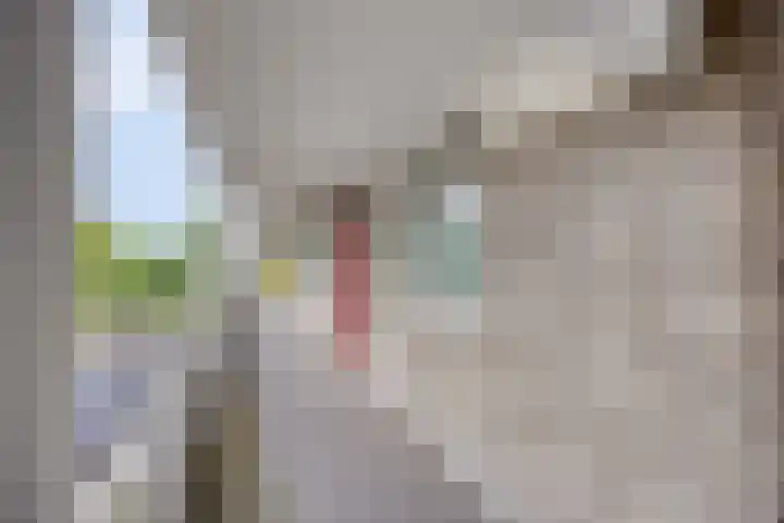 Bosplaat 96 Zwolle thumbnail 26