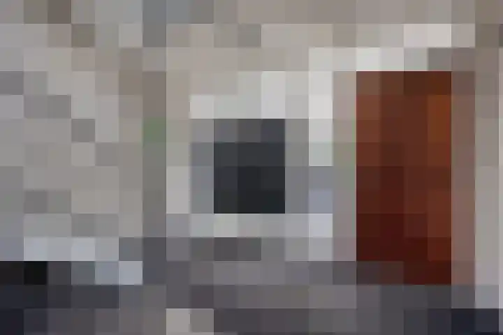 Bosplaat 96 Zwolle thumbnail 31