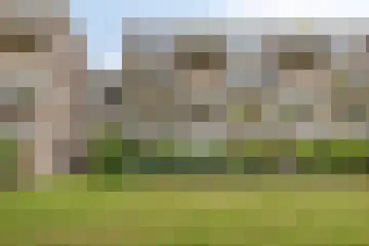 Bosplaat 96 Zwolle thumbnail 42