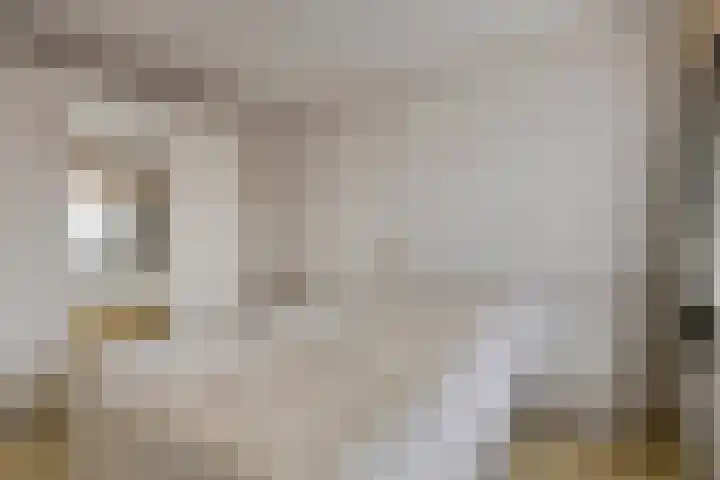 Bosplein 5 Axel thumbnail 12
