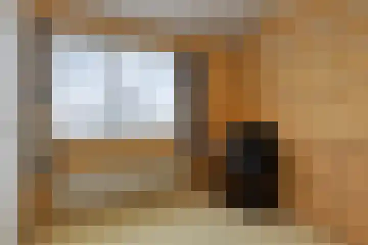 Bosplein 5 Axel thumbnail 15