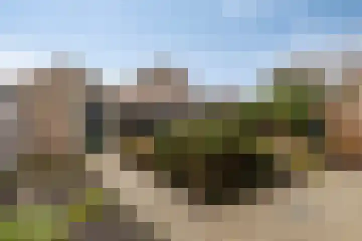 Bosplein 5 Axel thumbnail 22