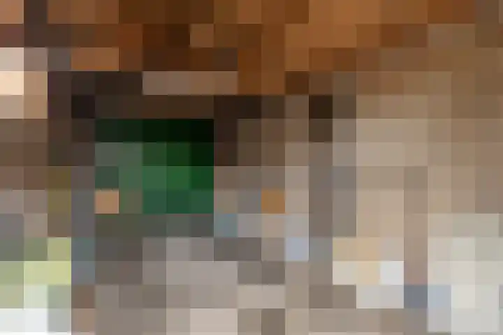 Bosplein 5 Axel thumbnail 25