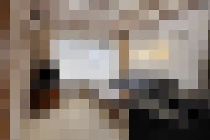 Bosplein 5 Axel thumbnail 5