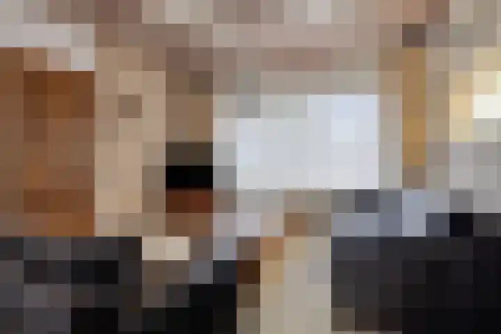 Bosplein 5 Axel thumbnail 6