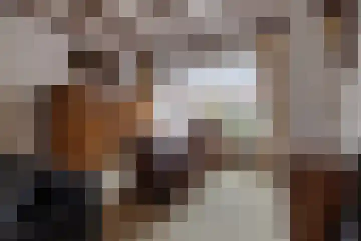 Bosplein 5 Axel thumbnail 7