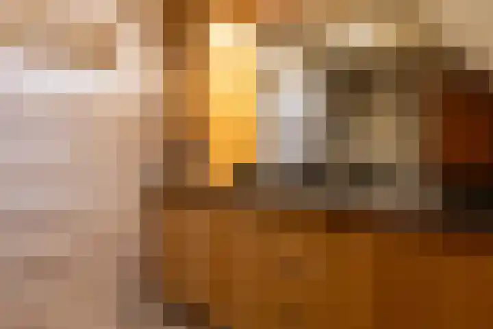 Bosrand 107 Elspeet thumbnail 33