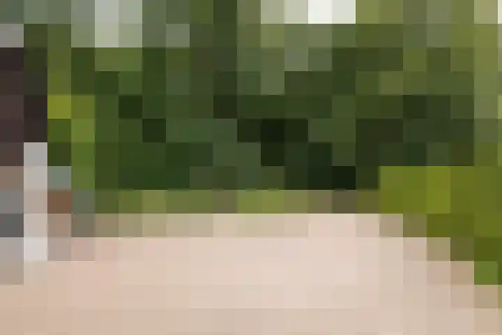Bosrand 107 Elspeet thumbnail 5