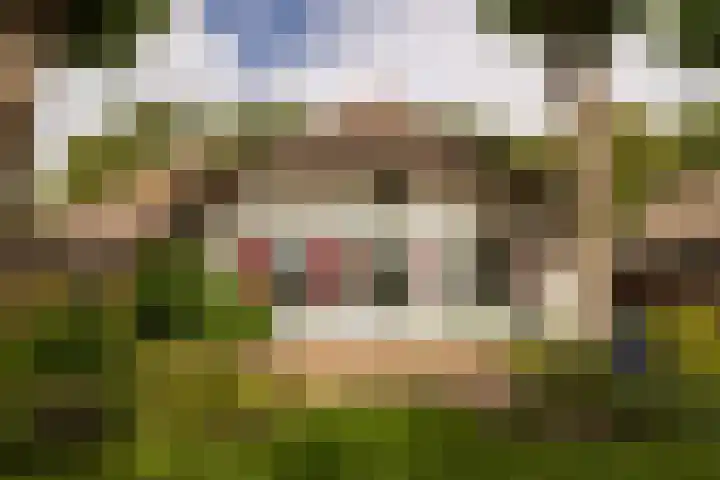 Bosrand 107 Elspeet thumbnail 8