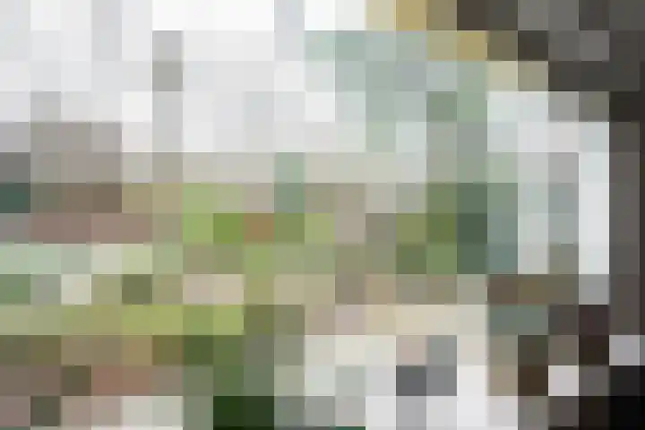 Bosrand 108 Putten thumbnail 13
