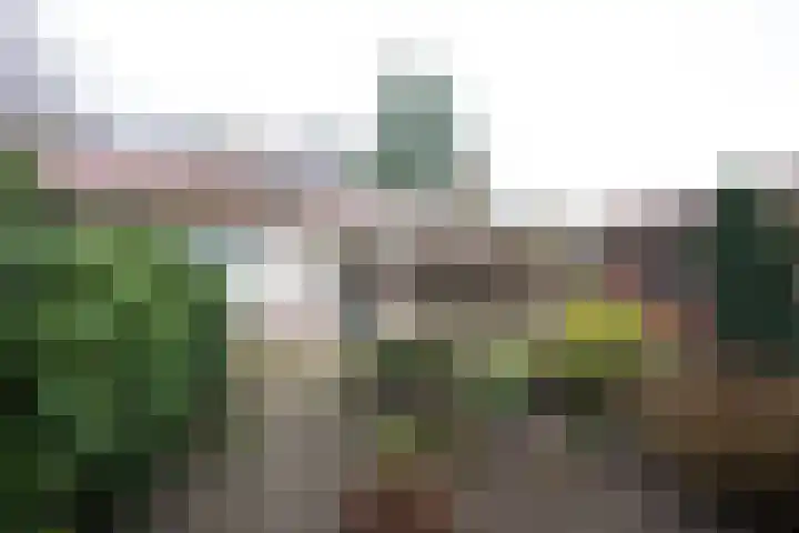 Bosrand 108 Putten thumbnail 35