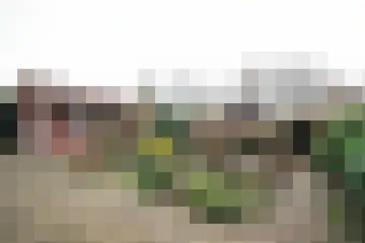 Bosrand 108 Putten thumbnail 38