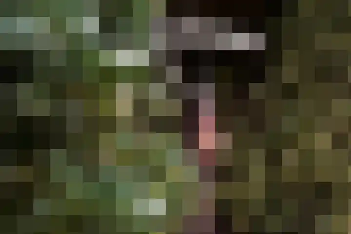 Bosrand 108 Putten thumbnail 41