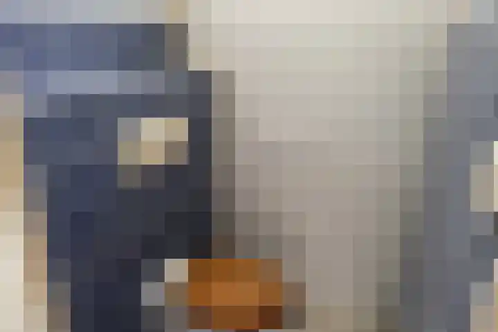 Bosrand 11 Ens thumbnail 11