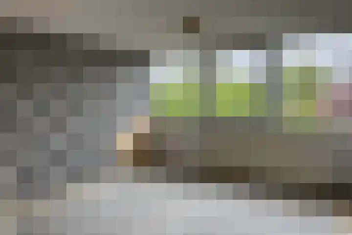 Bosrand 11 Ens thumbnail 20