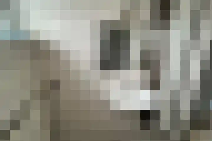 Bosrand 11 Ens thumbnail 23
