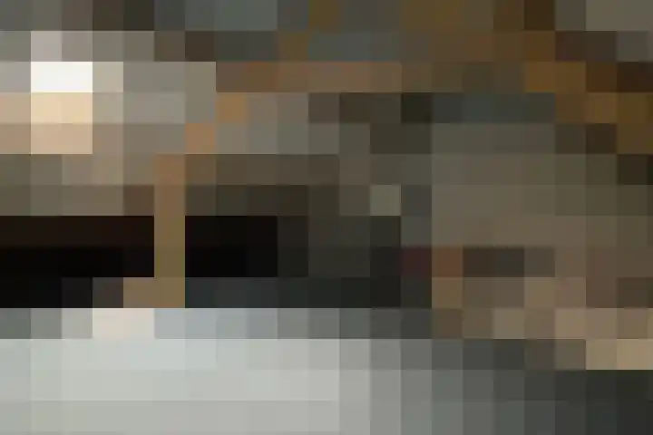 Bosrand 11 Ens thumbnail 24
