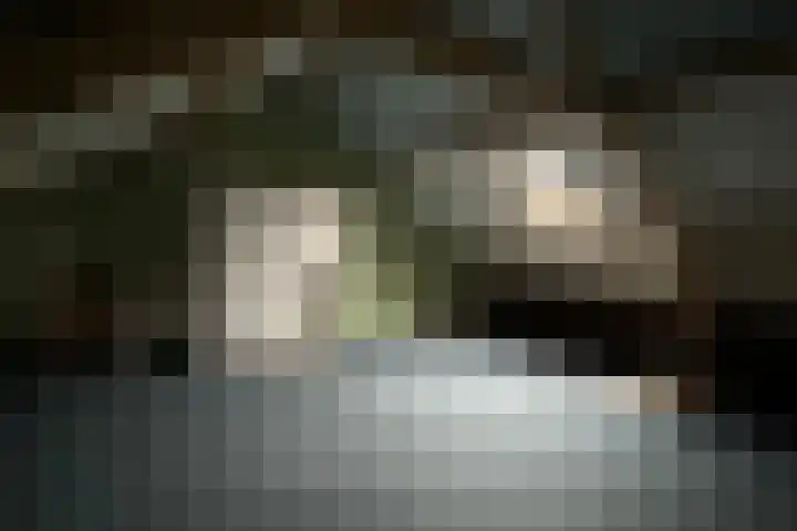 Bosrand 11 Ens thumbnail 25
