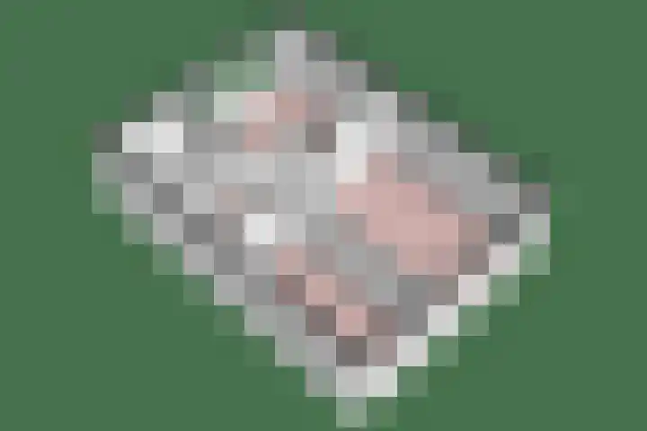 Bosrand 11 Ens thumbnail 29