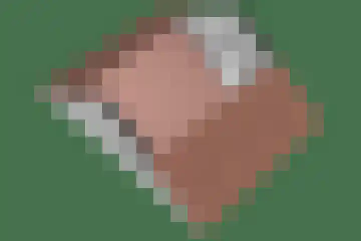 Bosrand 11 Ens thumbnail 31