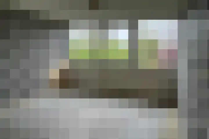 Bosrand 11 Ens thumbnail 5