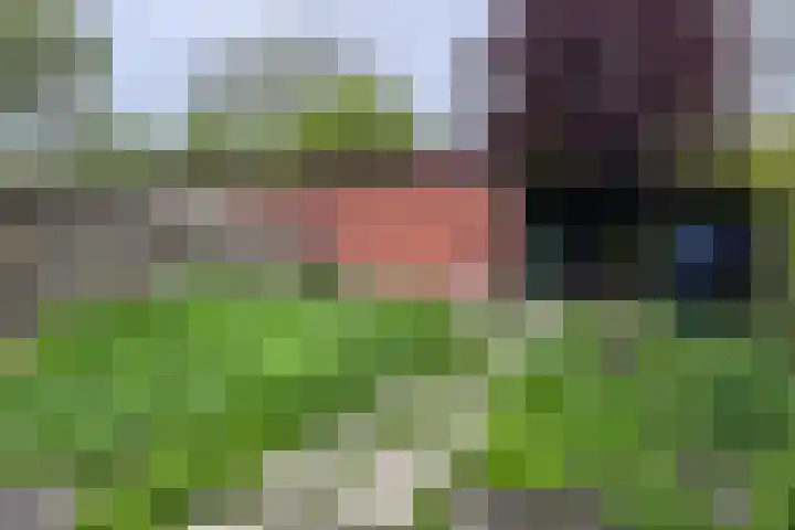 Bosrand 11 Ens thumbnail 7