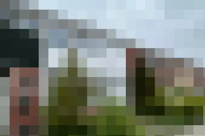 Bosrand 11 Ens thumbnail 8