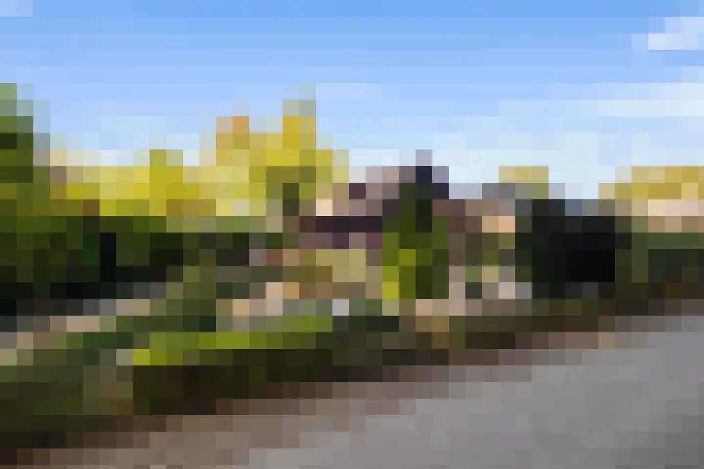 Bosrand 11 Ermelo thumbnail 40