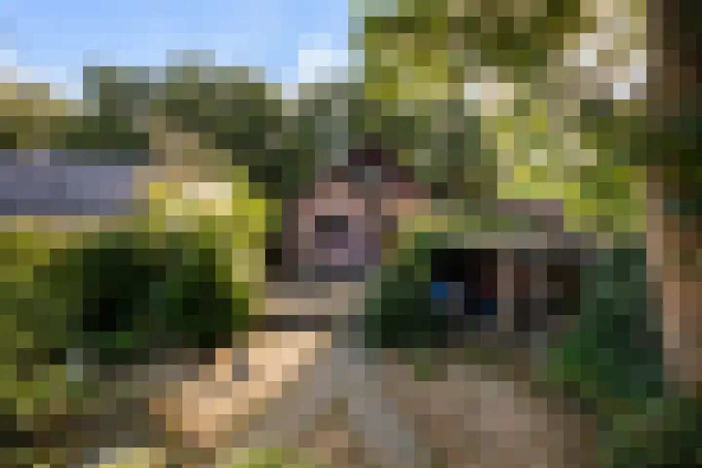 Bosrand 11 Ermelo thumbnail 41