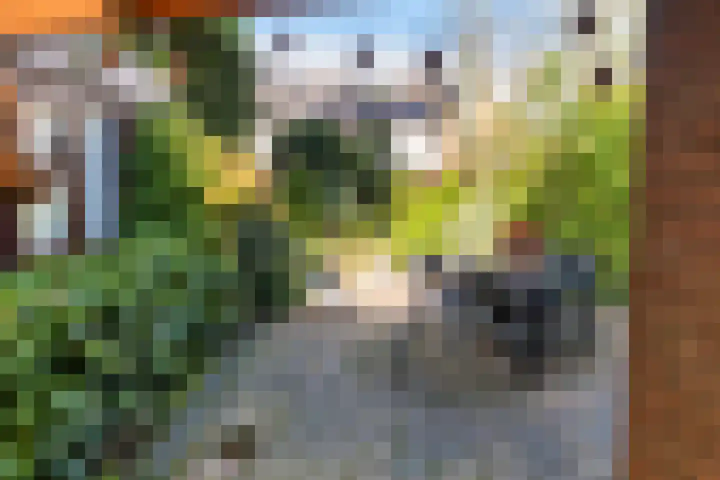 Bosrand 11 Ermelo thumbnail 44