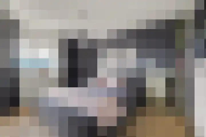 Bosrand 11 Ermelo thumbnail 45