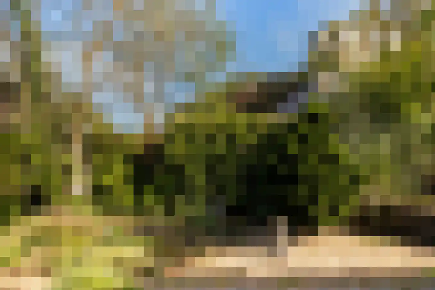 Bosrand 11 Ermelo thumbnail 46