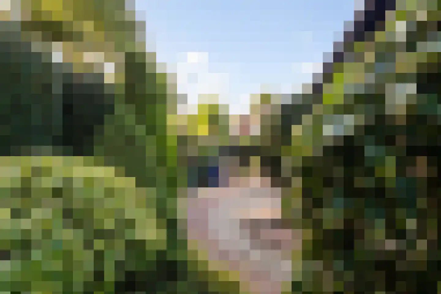 Bosrand 11 Ermelo thumbnail 50