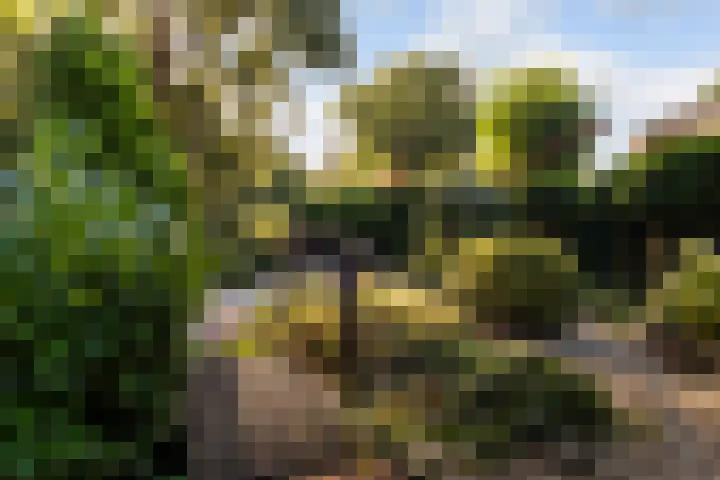 Bosrand 11 Ermelo thumbnail 51