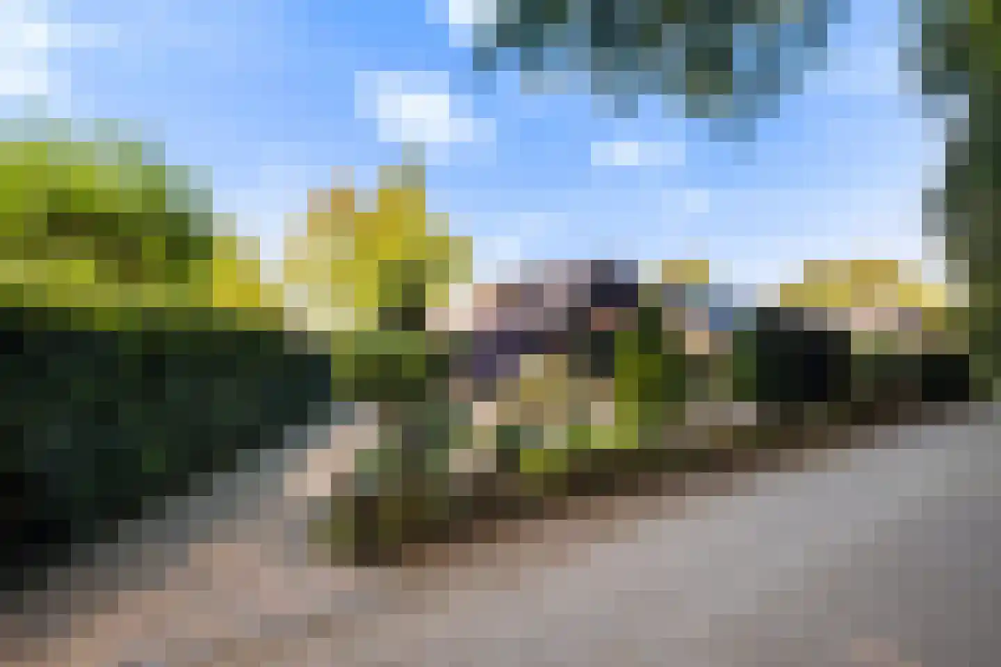 Bosrand 11 Ermelo thumbnail 55