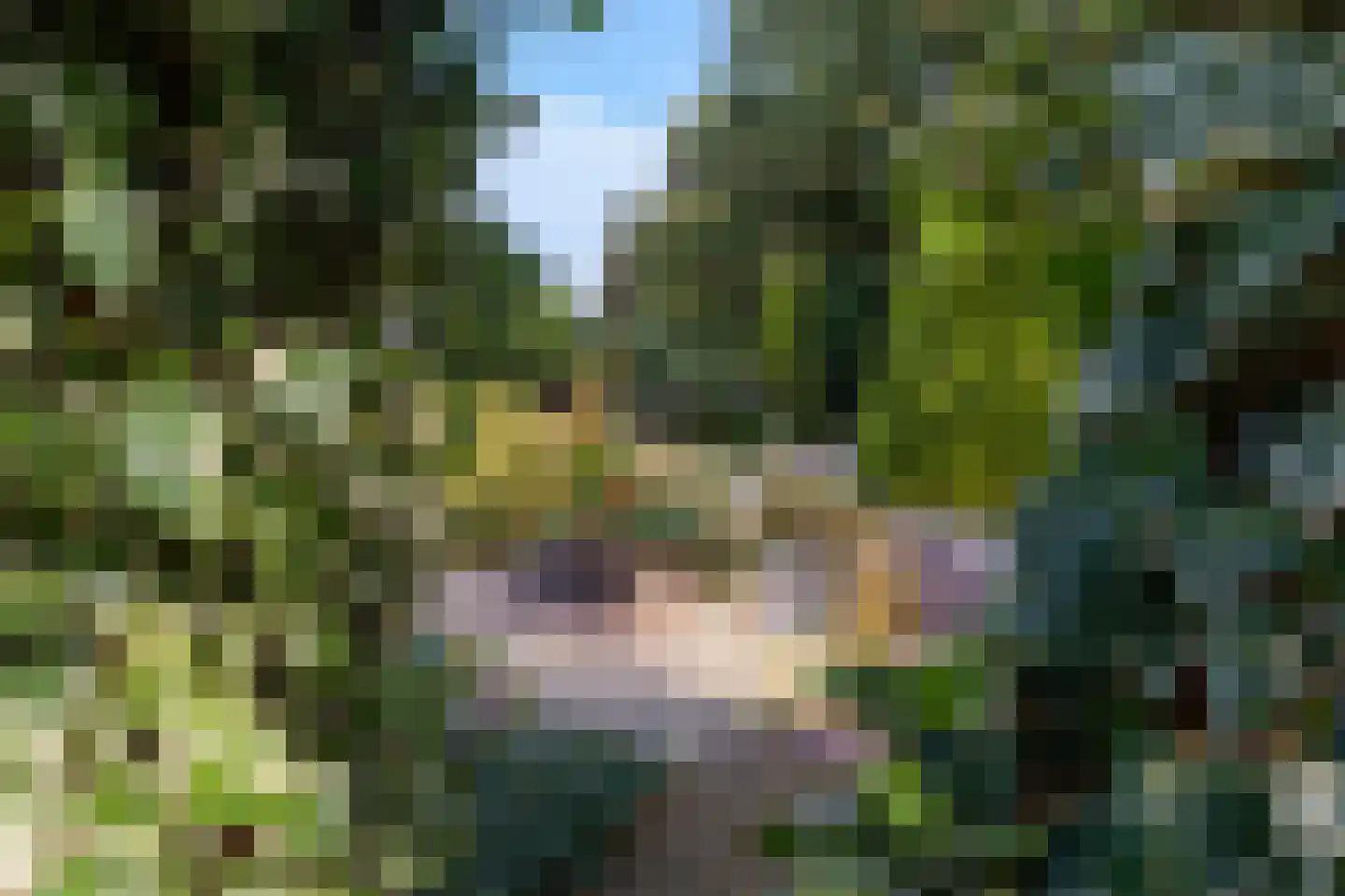 Bosrand 11 Ermelo thumbnail 6