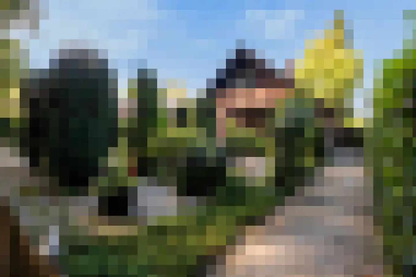 Bosrand 11 Ermelo thumbnail 7