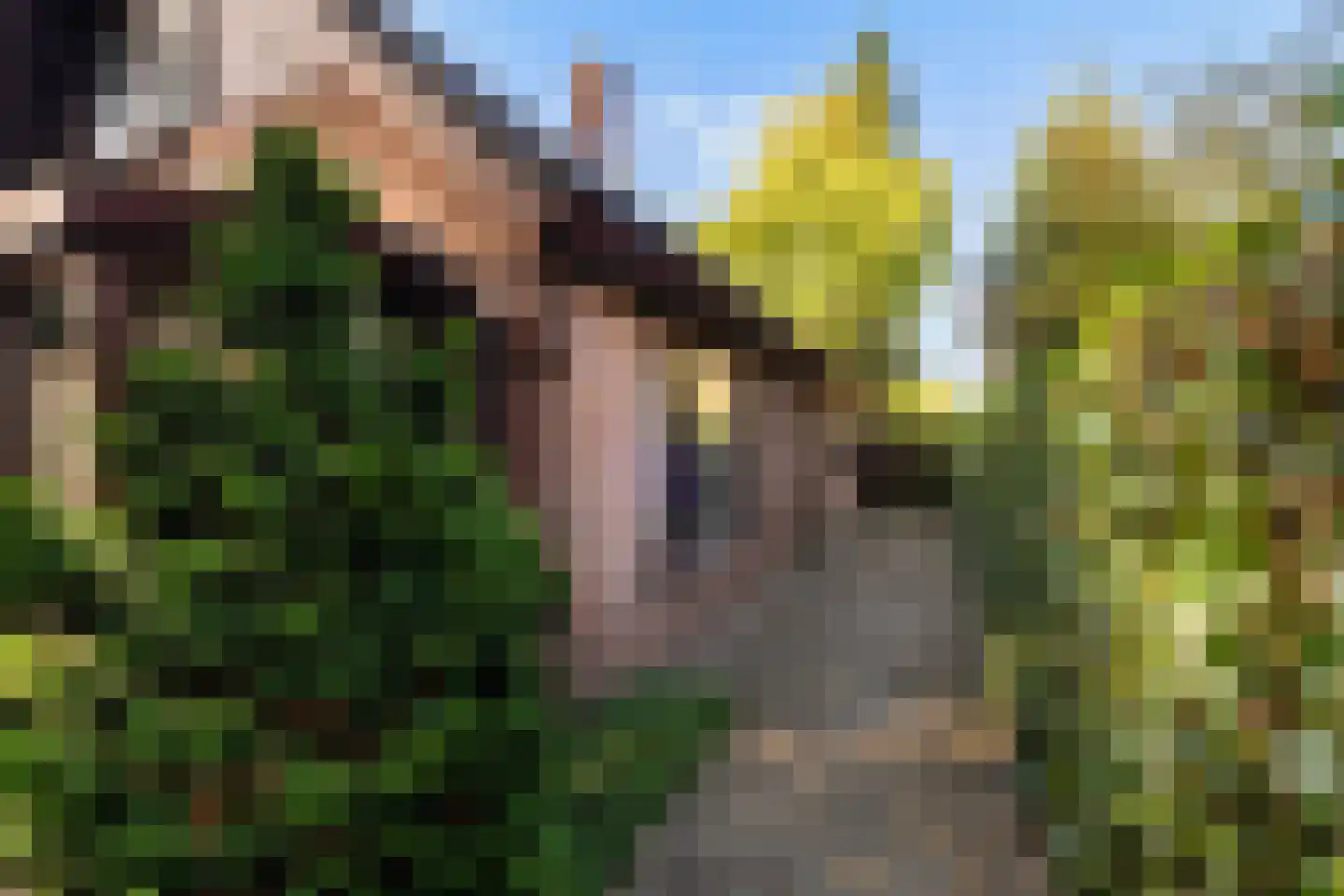 Bosrand 11 Ermelo thumbnail 8