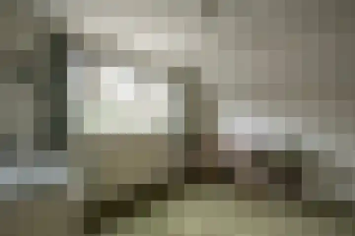 Bosrand 29 Putten thumbnail 14