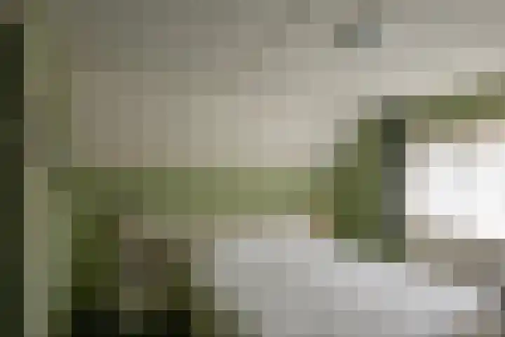 Bosrand 29 Putten thumbnail 18