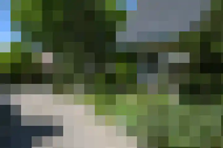 Bosrand 29 Putten thumbnail 22