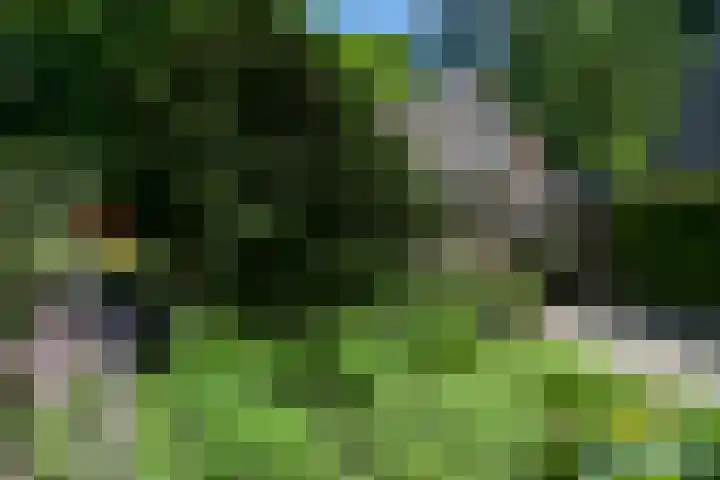 Bosrand 29 Putten thumbnail 23