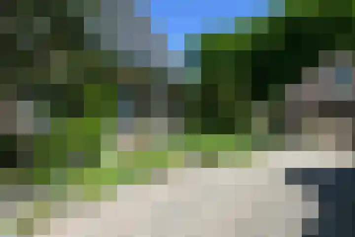 Bosrand 29 Putten thumbnail 24