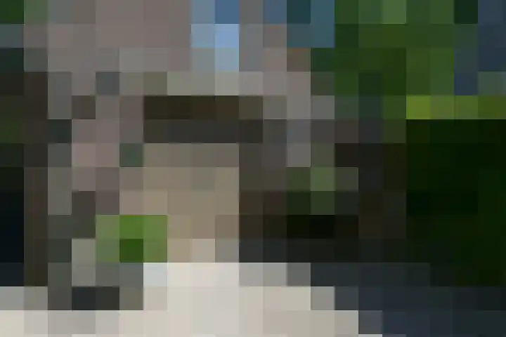 Bosrand 29 Putten thumbnail 25