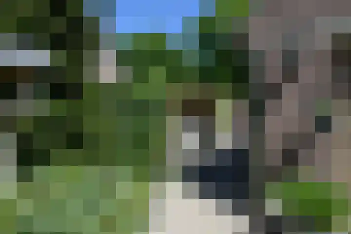 Bosrand 29 Putten thumbnail 26