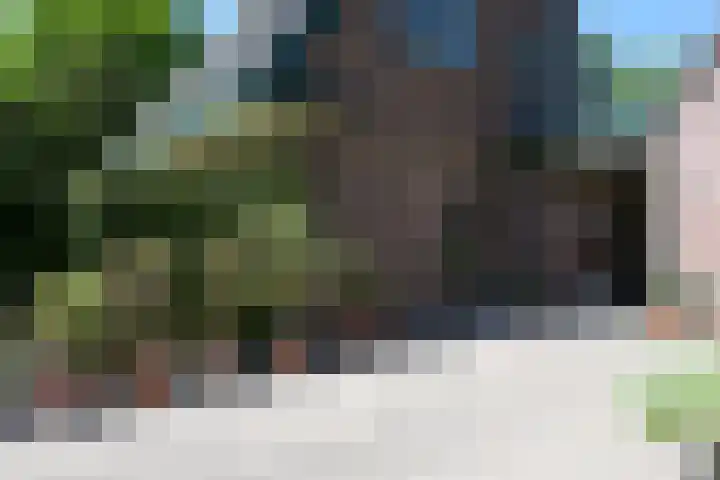 Bosrand 29 Putten thumbnail 28