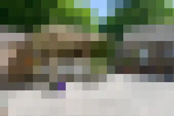 Bosrand 29 Putten thumbnail 33