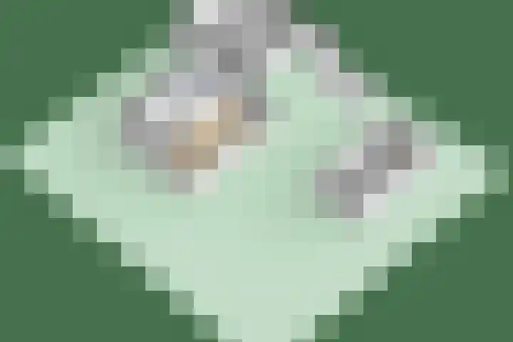 Bosrand 29 Putten thumbnail 47