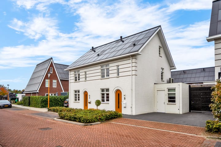 Bosrand 3 in Boekel foto